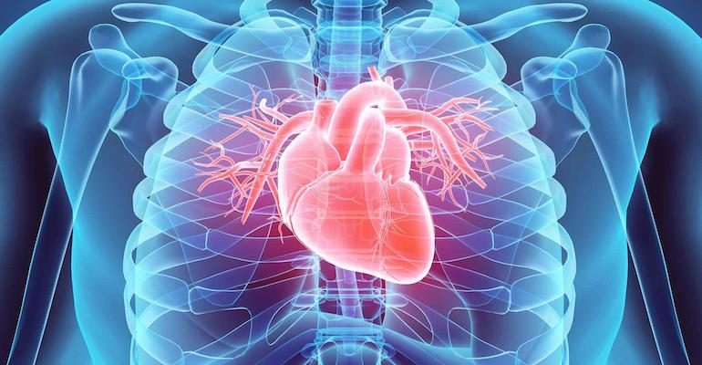 afectiuni cardiovasculare